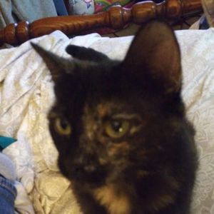 Meet your Posher, Lee